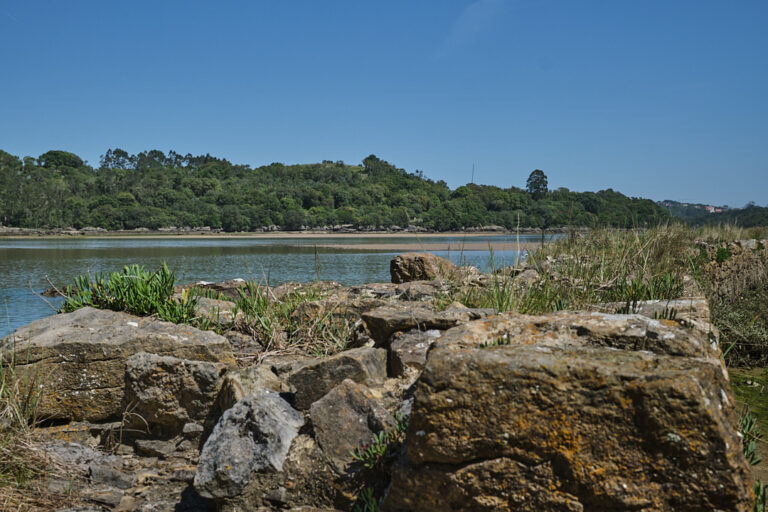Ruta Ría Castellano